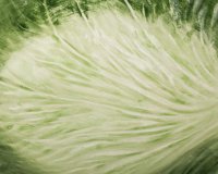   20*13 .