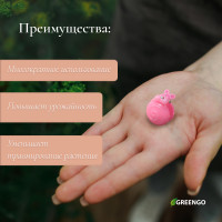    ,  10 ., , Greengo