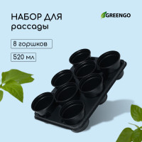   :   500  (8 .),  40   20 , , Greengo
