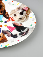 ������� ����������� �������� 17 �� 6 ��.