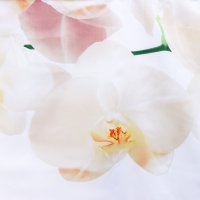       , 180x180 