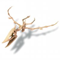 4� ������ ����������