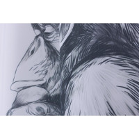     Monkey, 180200 