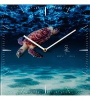 Slt-28 ���� ��������� Turtle