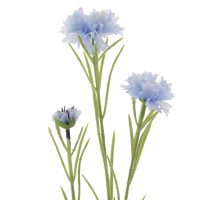 ������ ������������� �������, L7 W5 H68 ��, 2�.