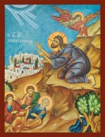 ������� � ����, ����� (���.06635)