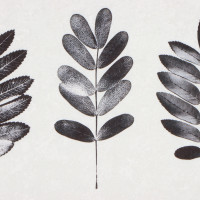     Natural Print 5080 ,100% /, 