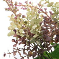 ������ �������������, L20 W15 H38 ��