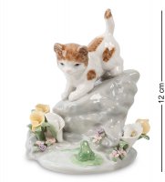 Cms-15/69   (pavone)