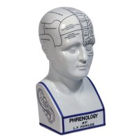  Phrenology Head
