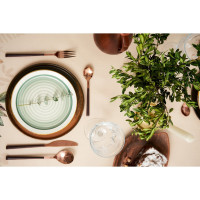  "" Nature Forest 146180, 100% ,  210 /2