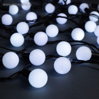   10     2.5 , Ip44,  , 100 Led,  , 8 , 220 