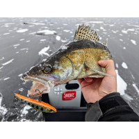    Lj Pro Series Basara Vib S, 8 ,  137