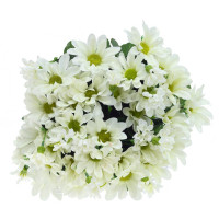 ������ ������������� ����������, L25 W25 H45 ��