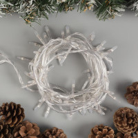   10    , Ip20,  , 100 Led,  , 8 , 220 