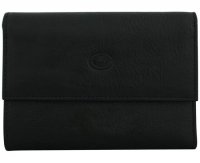  Dionigi 1050-13