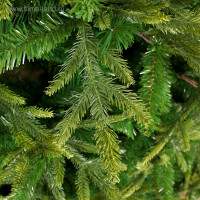    . , 240 , D   160 , 1798   