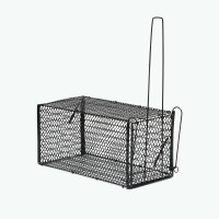 , 36 X 17 X 17 , , Greengo