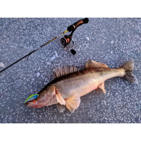    Lj Pro Series Basara Vib S, 8 ,  147