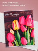  48    Calligrata ,  , 