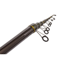     Salmo Diamond Bolognese Light Mf,  3-15 .,  5 .