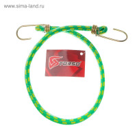     Torso, 60 , D10 ,  , 