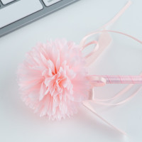 ����� ������, ���������, ����� �����, 1.0 �� �8 �����: ���������� � �������