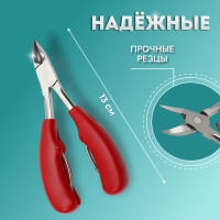  ,   ,  , 13 ,  -17 , , 