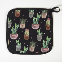    "Succulents" - 2027 ,  1919 , 100% 