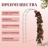 ���� �������, 240 125 36.5 ��, ��� �������� ��������, �������������, ������, Greengo