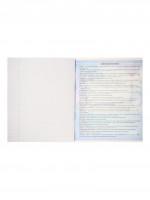  , 48   , Calligrata, . ,  