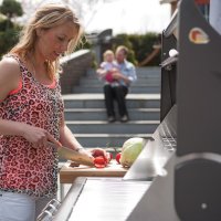   Napoleon Triumph-410