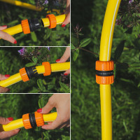  ,   3/4 (19 ),  , -,  , Greengo