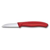      Victorinox Swissclassic    6 , 