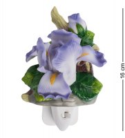 Cms-16/ 4  c (pavone)