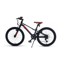  20 Maxiscoo 7bike M200,  