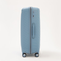   100  (l),   ,  , 4 ,  