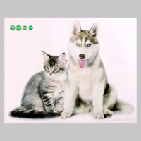   3 Take It Easy  :   , 50 40 