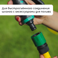 , 1/2 (12 ),  , -, , Greengo