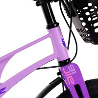 16 Maxiscoo Air Pro,   