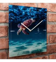 Slt-28 ���� ��������� Turtle