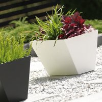    Prosperplast Tubus Case 38,6, 