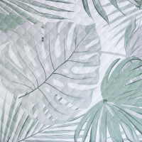 ��������� ����� 2 �� Tropics, 180�210 �5 ��, ����������