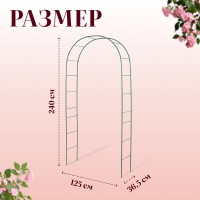 ���� �������, 240 125 36.5 ��, ��� �������� ��������, �������������, ������, Greengo