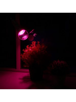    Luazon Lighting, , 60, E27, 9 , Ip44, 220 , 270, 