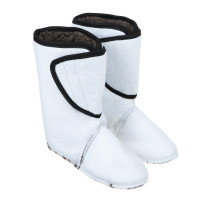  Ice Land, -60c, ,  44-46