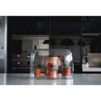     Qualy Lucky Mouse, 7 