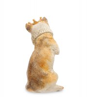 Ns-165 ��������� ������� �����