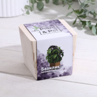 ����� ��� ����������� P&p �������� ���������, � ���� �� ������