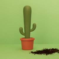 ٸ    Cactus